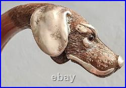 Antique Canne tête chien parties argent massif béquille bâton art nouveau