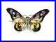 Art-Nouveau-Broche-Papillon-Meyle-Mayer-1900-10-Email-Argent-01-of