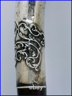 Pommeau manche de canne ART NOUVEAU en argent silver stick 1900